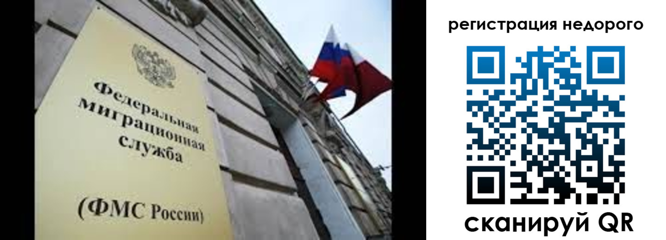 прописка поиск в Всеволожске